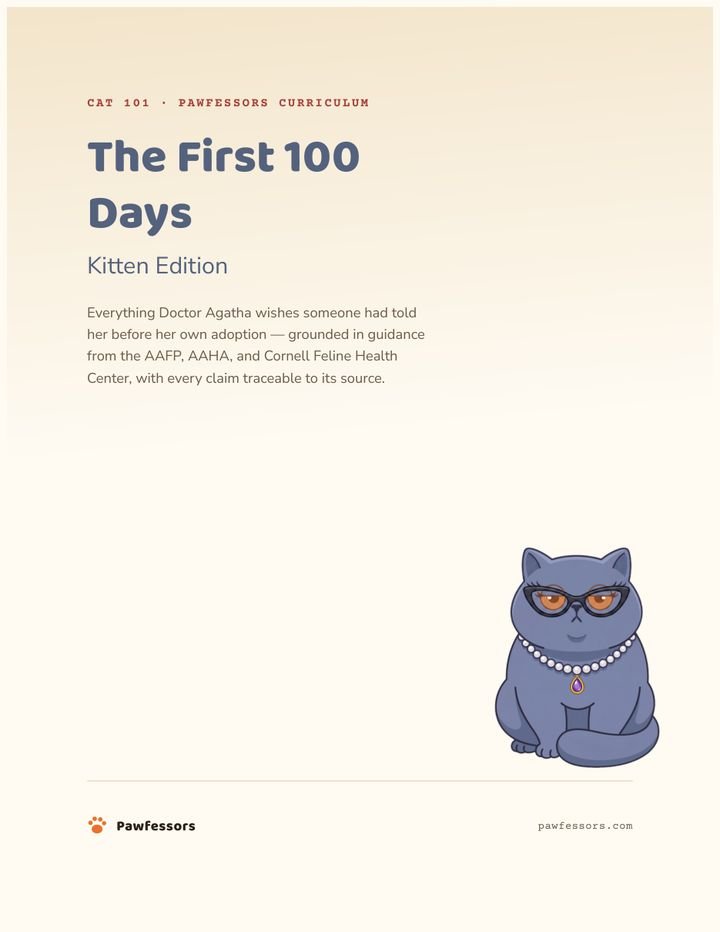 The cover of CAT 101: The First 100 Days, Kitten Edition