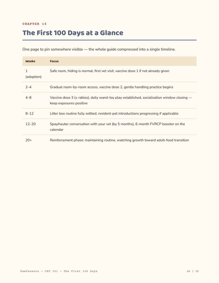 The First 100 Days at a Glance timeline
