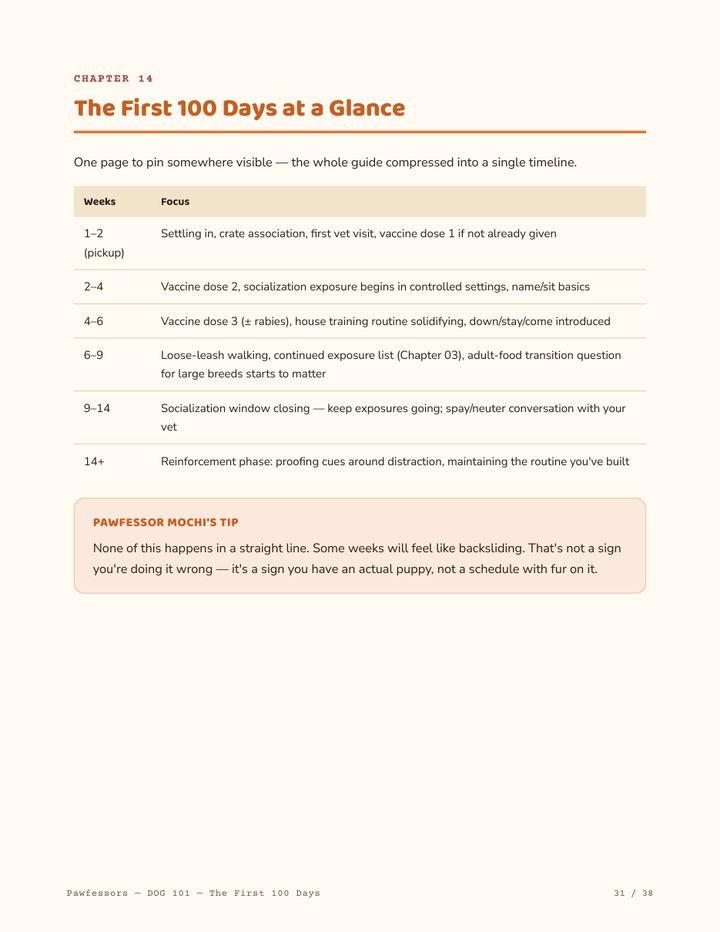 The First 100 Days at a Glance timeline